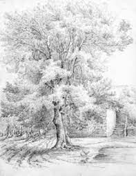Search through 623,989 free printable colorings at getcolorings. Pin On Work