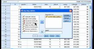 Oneway Anova Spss Part 1 Program Evaluation Anova Lean Six Sigma