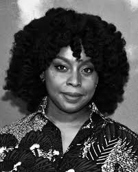 📚AUTHOR HIGHLIGHT: CHIMAMANDA NGOZI ADICHIE📚 She's an Author, Orator,  Feminist, Activist and Ever Growing In Her Craft. These Are The Books I  Have In My Collection: 📚Americanah (My Fav That I've Read