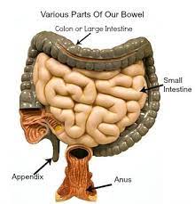 We did not find results for: Pin On Health