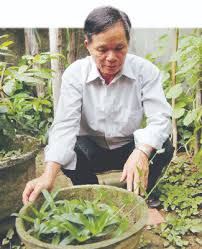 Vì vậy, người bệnh có thể thu hái và phơi khô rau mương để sử dụng cho thời gian sau. Bi áº©n Cay Thuá»'c Láº¡ Chá»¯a Khá»i Bá»‡nh Ä'au Dáº¡ Day Chá»‰ Trong 1 2 Tuáº§n