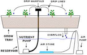 Hydroponic Drip Systems