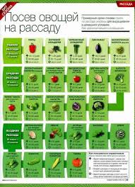 лунный календарь для комнатных растений на 2019 год таблица Domik V Derevne V 2020 G S Izobrazheniyami Posadka Ovoshej Ovoshnoj Ogorod Organicheskoe Sadovodstvo