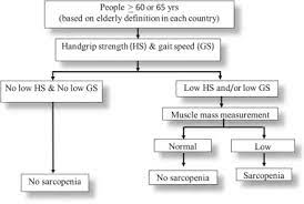 Check spelling or type a new query. Algorithm Of Sarcopenia Diagnosis Presented By Awgs Note Hs Hand Download Scientific Diagram