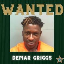 Good Morning Florida (@GoodMorningFla)