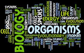 Soal un sma biologi 2015. Download Prediksi Soal Un Biologi Sma Ma Ipa 2015 Dan Pembahasan Soal Utbk Sbmptn 2021 Dan Pembahasan Pdf