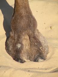 images?q=tbn:ANd9GcT4dbJRkfxlYKxzJ-mgvfK