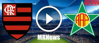Não tá mais afim de jogar no flamengo? Zke5pkepfbxdrm