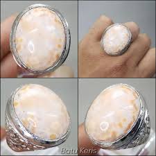 Maybe you would like to learn more about one of these? Fosil Batu Mani Gajah Putih Bercak Kuning Orange Asli Natural B3303 Terbaru Agustus 2021 Harga Murah Kualitas Terjamin Blibli