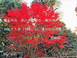 木々が紅葉に彩られると 学生時代に習ったあの和歌が思い出されます 北野天満宮 プロフ ユキのブログ