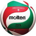 Amazon.com : Molten V5M5000 Men's NCAA Flistatech Volleyball, Red ...