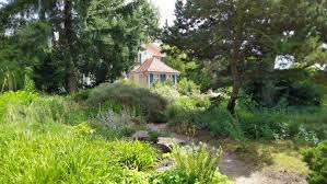 Er gilt als das herzstück. Radtour In Potsdam Zum Karl Foerster Garten Qiez