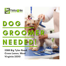 Pin On Dog Grooming
