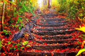 Beautiful wallpapers for 4k, 1080p hd and 720p hd resolutions and are best suited for desktops, android phones. Most Beautiful Wallpapers Ever Best Hd Wallpaper Desktop Background Autumn 1424x940 Download Hd Wallpaper Wallpapertip