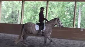 Sustantivo de género exclusivamente masculino, que lleva los artículos el o un en singular, y los o unos en plural. Indulto Lusitano Youtube