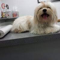 Menu & reservations make reservations. Plaza Boulevard Pet Hospital Veterinarian