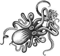 Epingle Par Tommy Messina Iii Sur My Style Tatouage Kraken Pieuvre Design De Tatouage De Poulpe