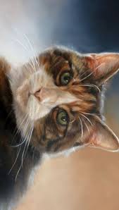 Marjolein Kruijt Dierportretten Kattenkunst Dierenportretten Wildlife Art Portretschilder Aquarel Kat Dierlijke Schilderijen Kattenkunst