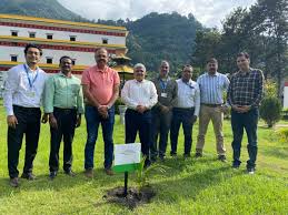 greeneconomy #plantation #ecosystem