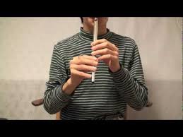 The Lord Of The Rings Concerning Hobbits Tin Whistle Cover