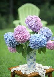 Pin By Debbie Celso Pochy On Flowers Bella S Pretty Hydrangea Cottage Flower Arrangements Hydrangea Flower Pretty Flowers