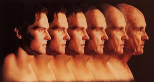 Cambios biológicos en el envejecimiento | Dciencia