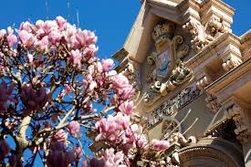 Ayuntamiento de Avilés - News update