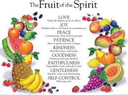Fruit Of The Spirit Wall Chart Laminated Rose Publishing