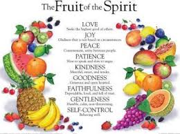 fruit of the spirit wall chart laminated rose publishing