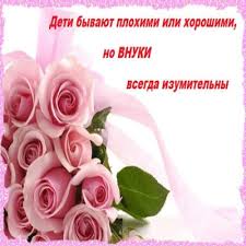 поздравления бабушке и дедушке с днем рождения внука 1 год S Dnyom Rozhdeniya Vnuka Pictures Flowers Rose