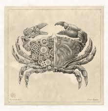 If you're looking for art to complement an industrial interior, then a mechanical theme is ideal. Mechanical Crustaceans With Clockwork Insides Illustrated By Steeven Salvat Colossal