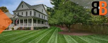 View photos, property details for florence real estate & more. Shrub Pruning Service Hedge Trimming Small Tree Pruning