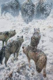 Wolves Animals Wolf Dog Wildlife Art