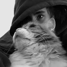 Kate German (@kategermann) • Instagram photos and videos