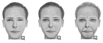 You can save the generated image and share it. Forensic Software Program Csi Lesson Plans Faces Education Tool