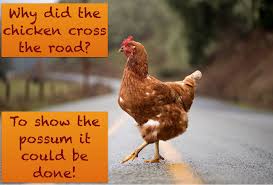 Why Did The Chicken Cross The Road Chicken Jokes Chicken Humor Cartoon Animals