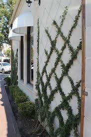 Amazing Balcony Ivy Ideas Unique Balcony Garden Decoration And Easy Diy Ideas In 2020 Wall Trellis Vine Trellis Garden Design