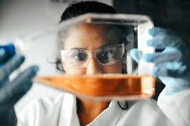 Study reveals genetic switch that helps leukemia cells evade chemotherapy