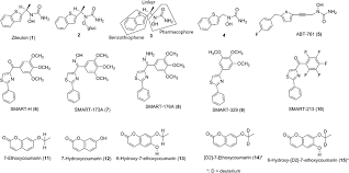 Image result for Zileuton