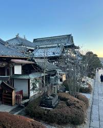 Fraser Perry (@fraserperry_) • Instagram photos and videos