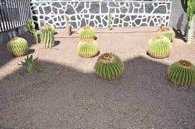 Una de las preguntas que más nos formulamos, sobretodo cuando empezamos, es la siguiente: Los Cactus Playa Del Ingles Precios Actualizados 2021