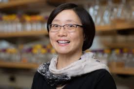 FSU awards honors medallions to more than 300 Spring 2023 graduates