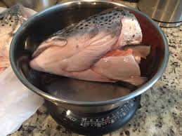 Raw Salmon Heads For Dogs Can They Really Eat Them K9sovercoffee Raw Dog Food Recipes Raw Feeding For Dogs Raw Salmon