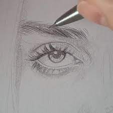 Pin On Drawings