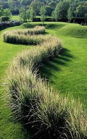 A Line Of Ornamental Grass Calamagrostis 39 Overdam 39 Turf Earthworks Tuin Tuin Ideeen Tuin Architectuur
