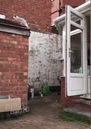 Image result for tbn:AVG8hmDwzPkQ3M::img222.imageshack.us/img222/7555/89765389sh1.gif