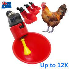 We did not find results for: Automatic Water Feeder Drinker Chicken Waterer Poultry Chook Bird Duck Drink Cup Ebay