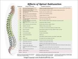 chiropractic charts and posters