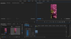 Oleh karena itu kami akan sama juga membagikan pengalaman ilmu yang telah kami peroleh selama ini, oke tidak panjang lebar kita langsung praktikan cara ekspor video di adobe premiere. Solved Portrait To Landscape Adobe Support Community 10077387
