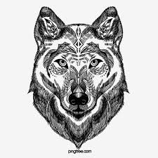 Gray wolves are often depicted as being varying shades of gray in color, but they can also be brown, black, reddish, or even white. Ø¹Ù†Ø§ØµØ± Ø§Ù„Ø·ÙˆØ·Ù… Ù…Ø±Ø³ÙˆÙ…Ø© Ø¨Ø§Ù„ÙŠØ¯ Ù…Ù† Ø§Ù„Ø°Ø¦Ø¨ Ø§Ù„Ø£Ø³ÙˆØ¯ ÙˆØ§Ù„Ø£Ø¨ÙŠØ¶ Ø§Ù„Ø°Ø¦Ø¨ Ø§Ù„Ù…Ø±Ø³ÙˆÙ…Ø© Ø´Ø±Ø³Ø© Ø­ÙŠÙˆØ§Ù† Png ÙˆÙ…Ù„Ù Psd Ù„Ù„ØªØ­Ù…ÙŠÙ„ Ù…Ø¬Ø§Ù†Ø§ In 2021 Wolf Black And White Pictures To Draw Black And White Posters